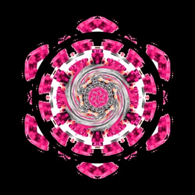 Stay Home - Single