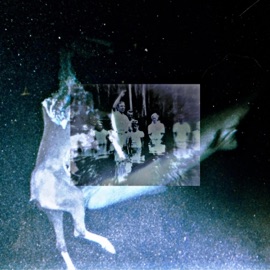 Introversion Darkohatesme