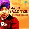 Jado Yaad Teri - EP