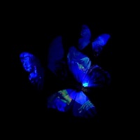 เธอจะไปรู้อะไร (feat. Highhot) - Single - TAWANBULLET