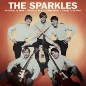 The Sparkles - No Friend of Mine