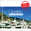 ZARD tribute - SARD UNDERGROUND
