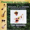 Bandola Llanera: Instrumentales Violentos, Vol. 2