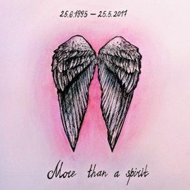 More Than a Spirit Onative