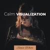 Calm Visualization