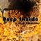 Deep Inside (feat. Young NIQ) - Lilgetmoneybitch lyrics