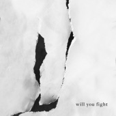 Will You Fight (feat. Beginners) artwork