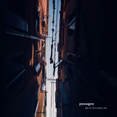 Passagen - Single