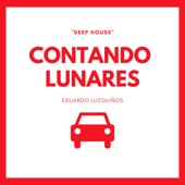 Contando Lunares artwork