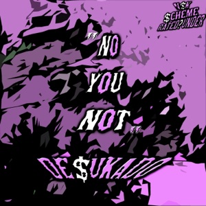 no you not (feat. PANDEMXNIUM)
