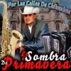 La sombra De Primavera - Te Quiero Con La Vida