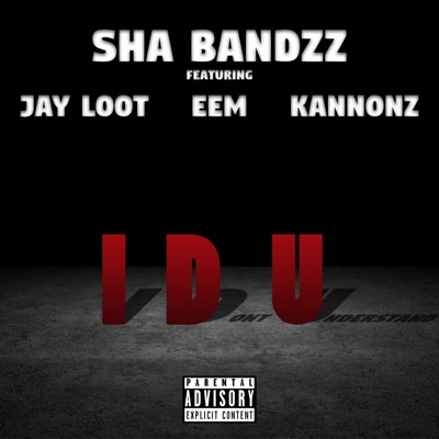 I Don't Understand (feat. Jay Loot, EEM & Kannonz) - Single