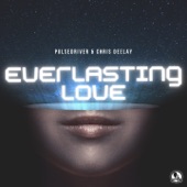 Everlasting Love (Extended Mix) artwork