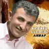 Veysel Uluağaç - Giden Gelmezmiş