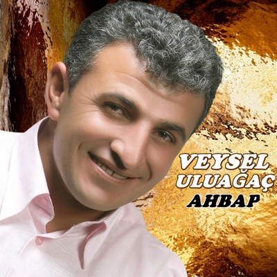 Song - Yari Bana Çok Gördüler - Veysel Uluağaç