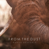 From the Dust - Daniel Deuschle