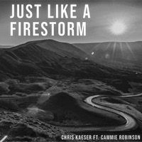 Just Like a Firestorm (Remode Mix) - Single - Chris Kaeser