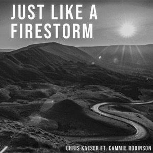 Just Like a Firestorm (Remode Mix) - Single