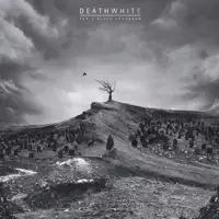 Contrition — Deathwhite