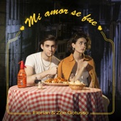 Mi Amor Se Fue (feat. Zoe Gotusso) artwork