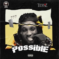 POSSIBLE (Freestyle) - Single - Tidinz