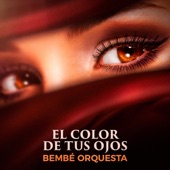 El Color de Tus Ojos artwork