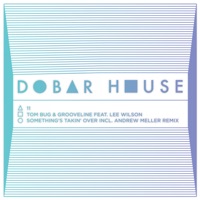 Something's Takin' Over (Incl. Andrew Meller Remix) [feat. Lee Wilson] - EP - Tom Bug & Grooveline
