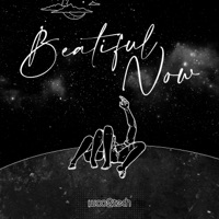 Beautiful Now - Single - Woo2tech