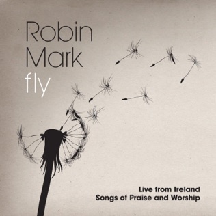 Robin Mark The Young Man