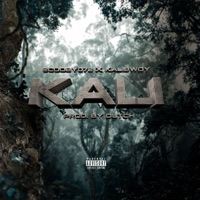 Kali (feat. Kalibwoy) - Single - Scooby072