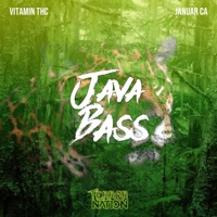 Java Bass - Single - Vitamin THC & Januar CA