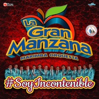 Marimba Orquesta La Gran Manzana - Mix Mi Secreto: Primer Amor / Mi Secreto / Vete Con el / Esa Mujer
