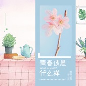 青春该是什么样 artwork