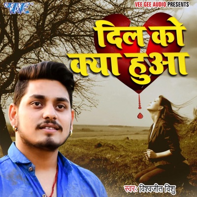Dil Ko Kya Hua - Single