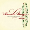 The Beach Boys - The Man With All the Toys