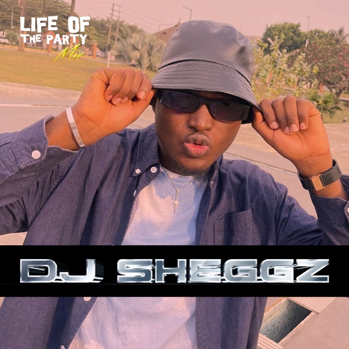 ‎Life of The Party Mix DJ Sheggz, Best of 2022 (DJ Mix) Album by DJ