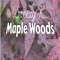 Maple Woods - Steezy K lyrics
