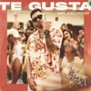 Mc Kevinho - Te gusta