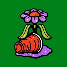 Wallflower DOUBLECAMP