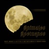 Animales Nocturnos (feat. Instinto Music & Noentiendo) - Single