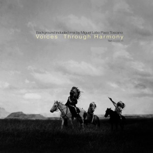 Voices Through Harmony - Single