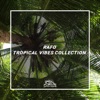 Tropical Vibes Collection, 2019