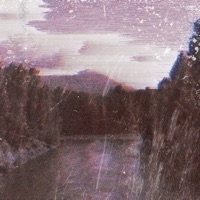 Forest of Aureal - Single - grayera