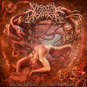 Visceral Disgorge - Transfixed in Torture