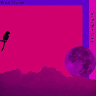 Black Drongo - Single