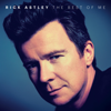 Rick Astley - Never Gonna Give You Up artwork