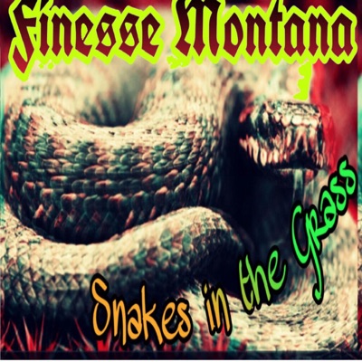 Snakes in the Grass - Single