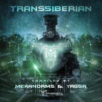 Various Artists - Transsiberian (Mekanorms & Yagsa Present Various Artists) artwork