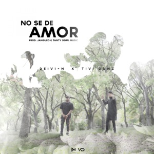 No se de amor (feat. Tivi Gunz)