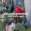 Joel Goldenberger - When We Meet Again